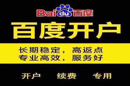 百度品牌推广案例：实战解析品牌塑造策略